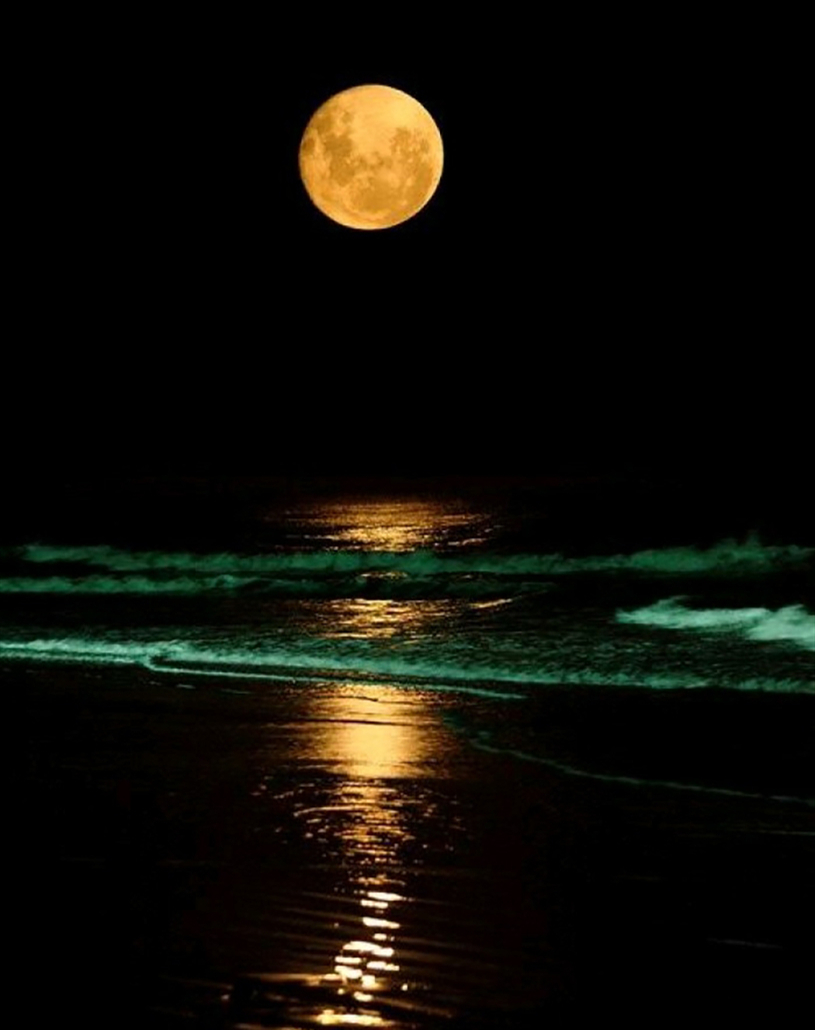 38a97f47e9cb8b35028950ae4e7a9170_副本